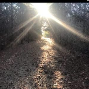 Meet your Posher, Monique